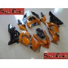 04-05 Kawasaki NINJA ZX10R DESIGN 12